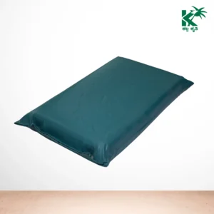 Rubberised Coir Pillows With Rexine Cover